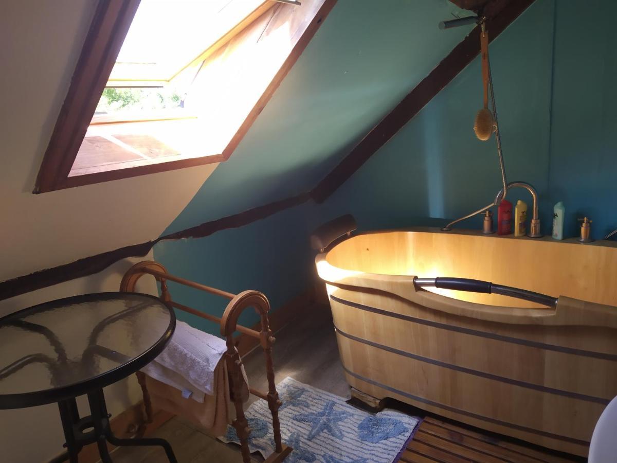Maison En Granit Bleue Lanhelin Ngoại thất bức ảnh